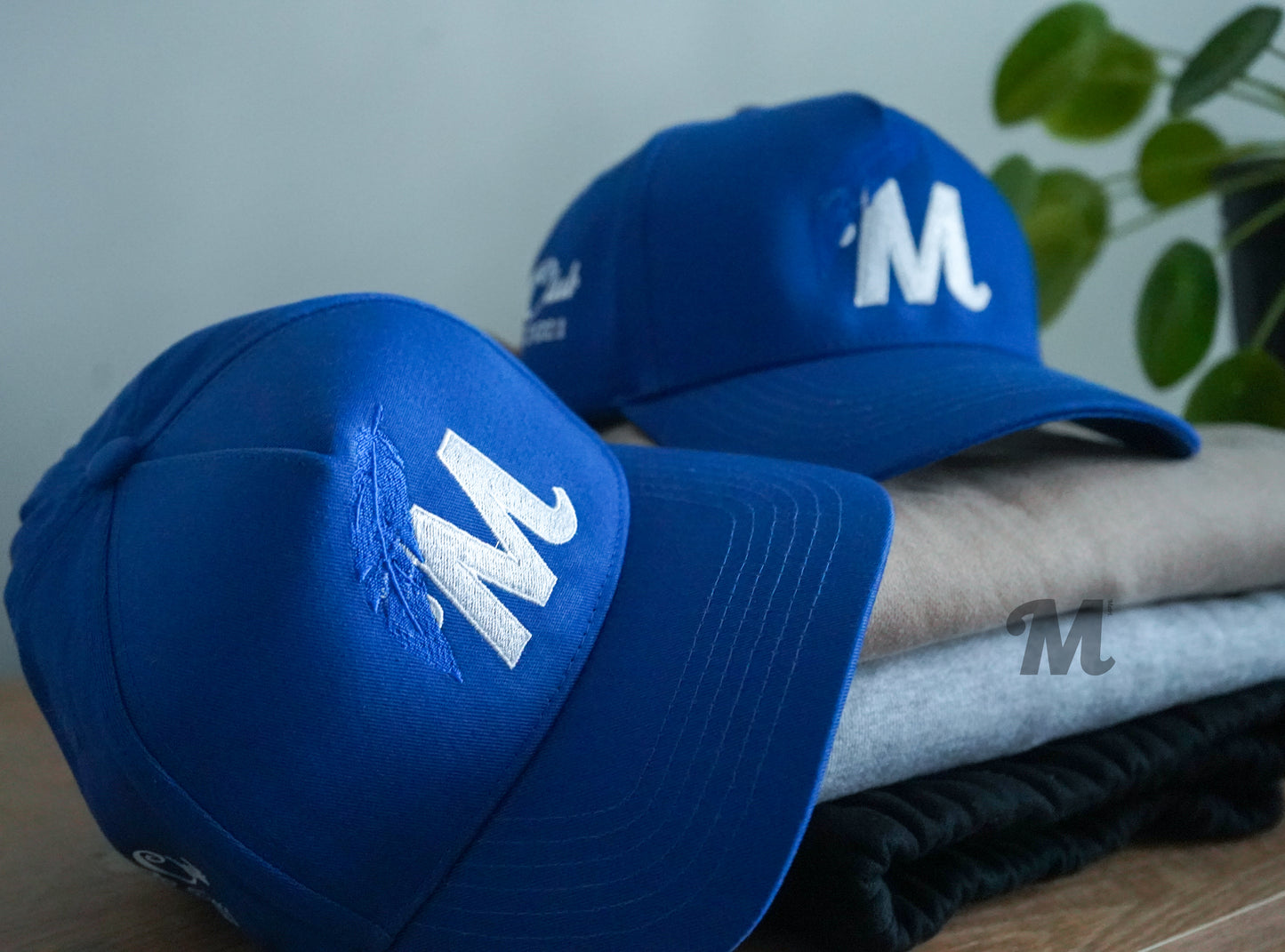 Metri Feather logo Snapback (Royal)