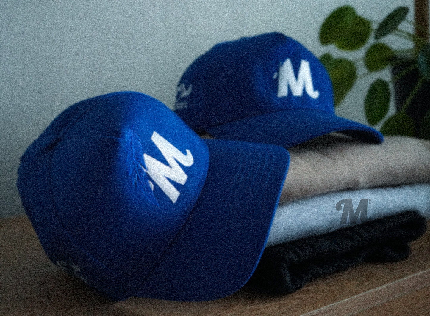 Metri Feather logo Snapback (Royal)