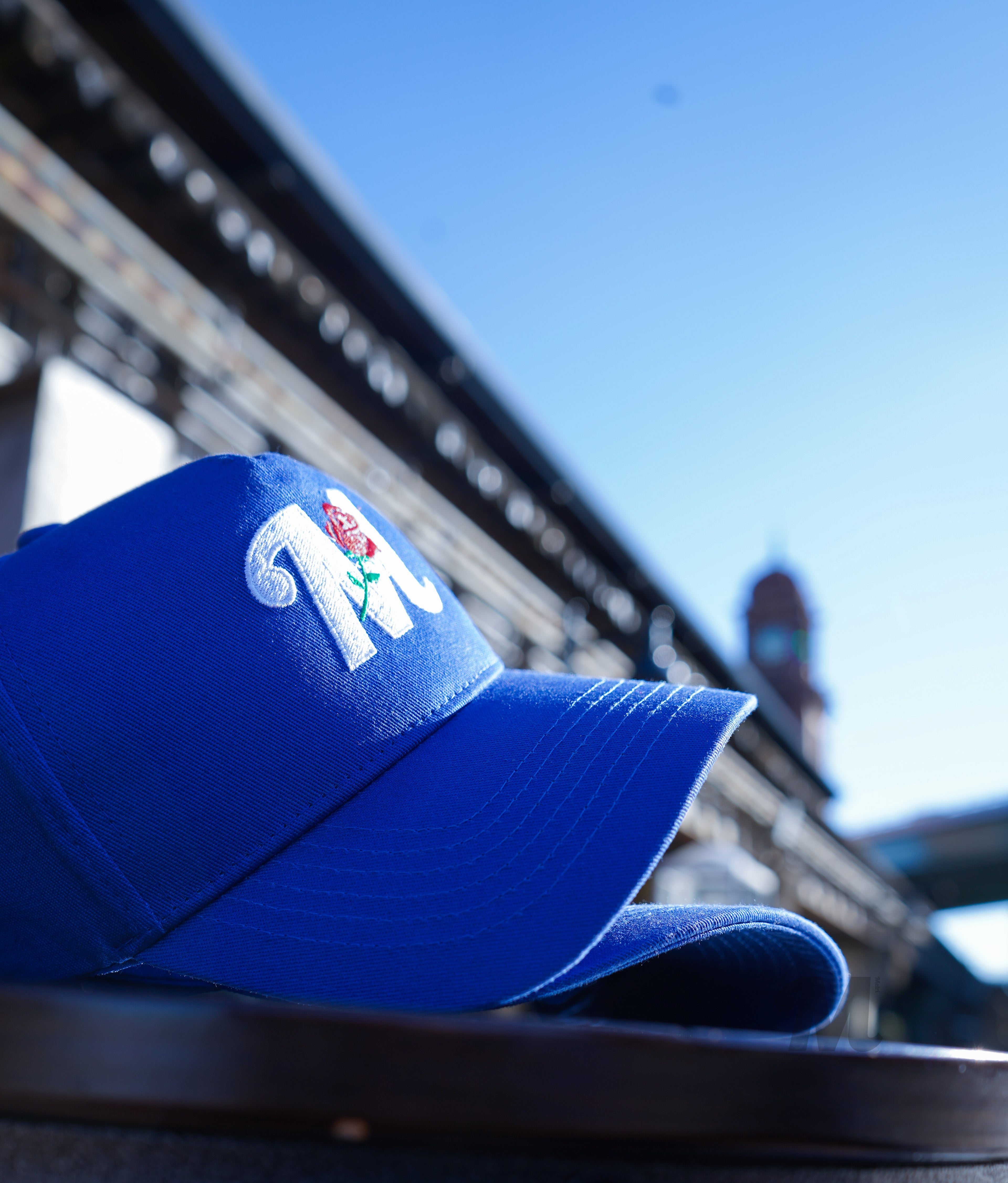 Metri Rose Logo (Royal Blue)