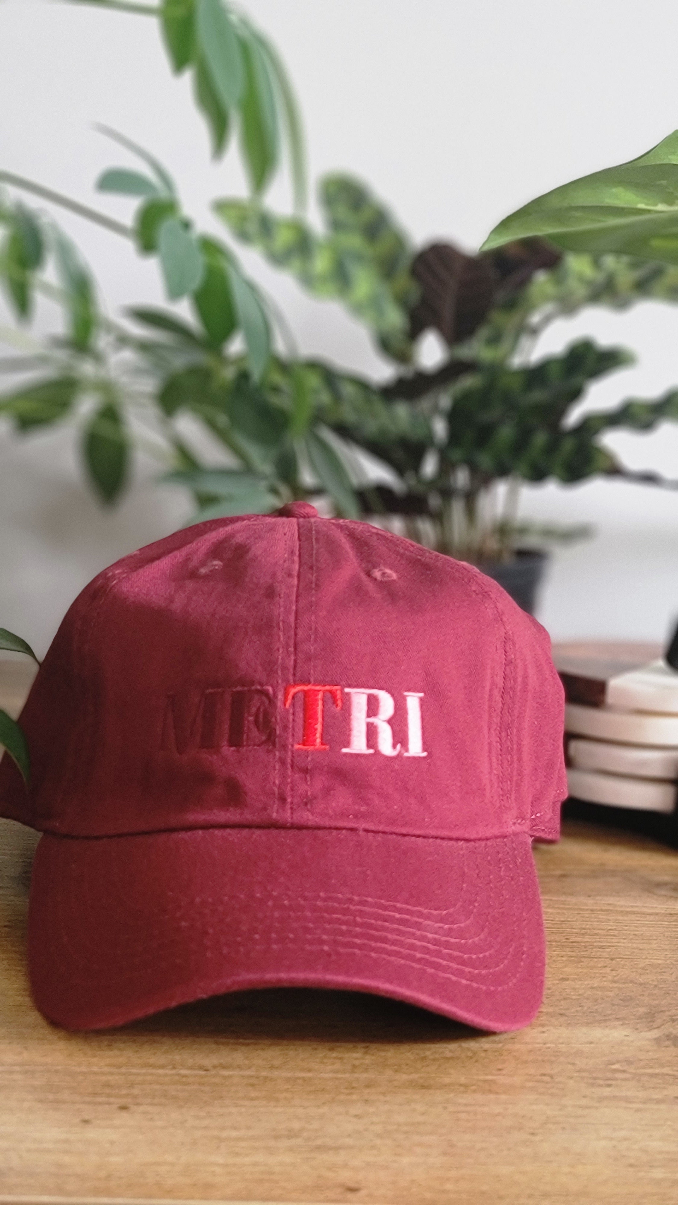 Metri Dad Hat: Burg
